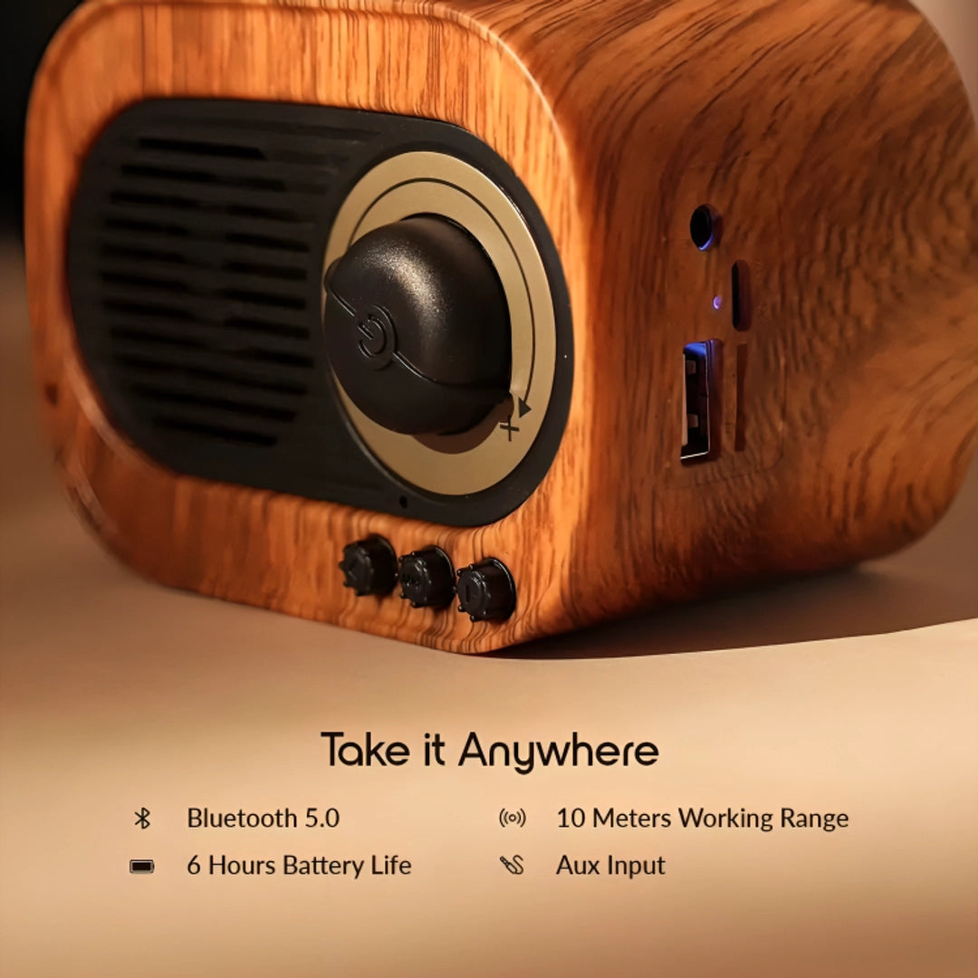 Retro Phonograph Bluetooth Radio Speaker