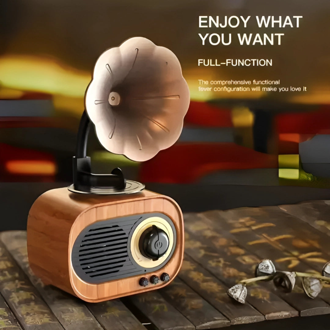 Retro Phonograph Bluetooth Radio Speaker