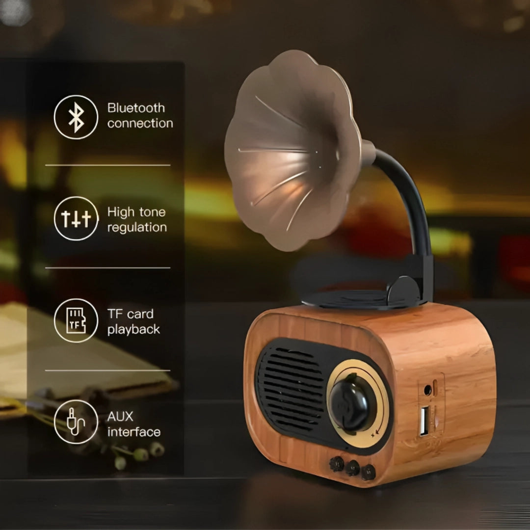 Retro Phonograph Bluetooth Radio Speaker