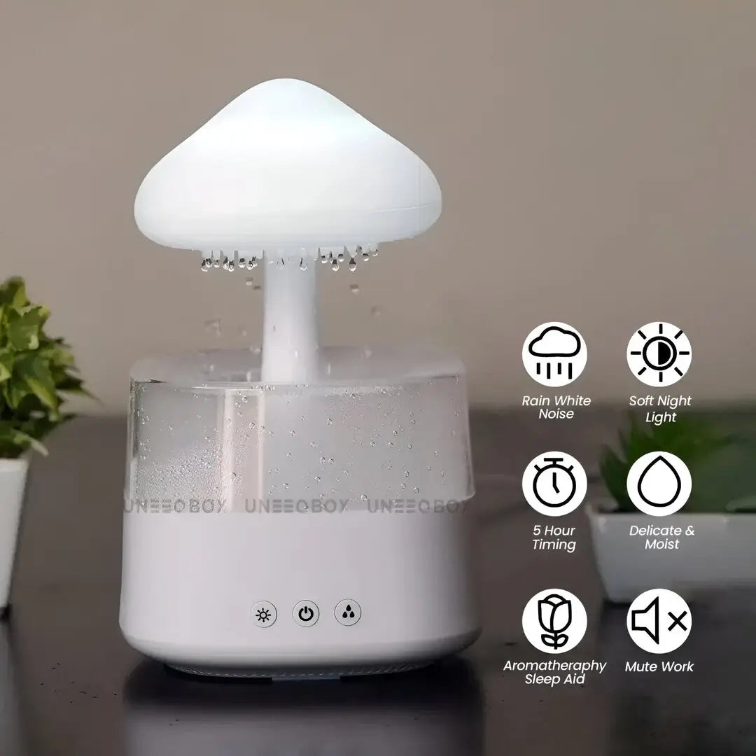 UB Rain Humidifier