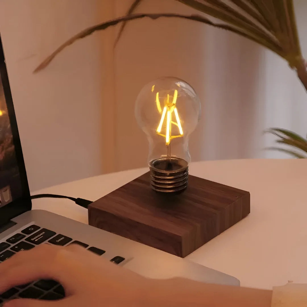 Wooden Magnetic Floating Bulb