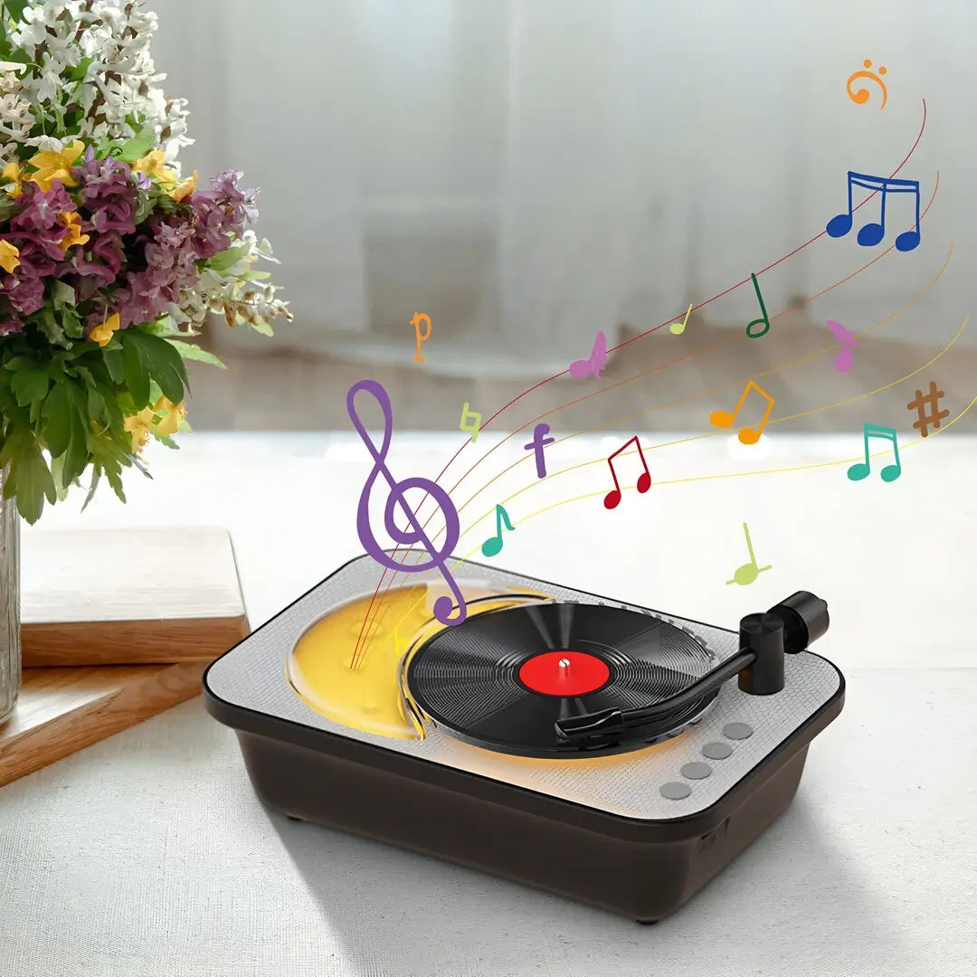 Vinyl record player