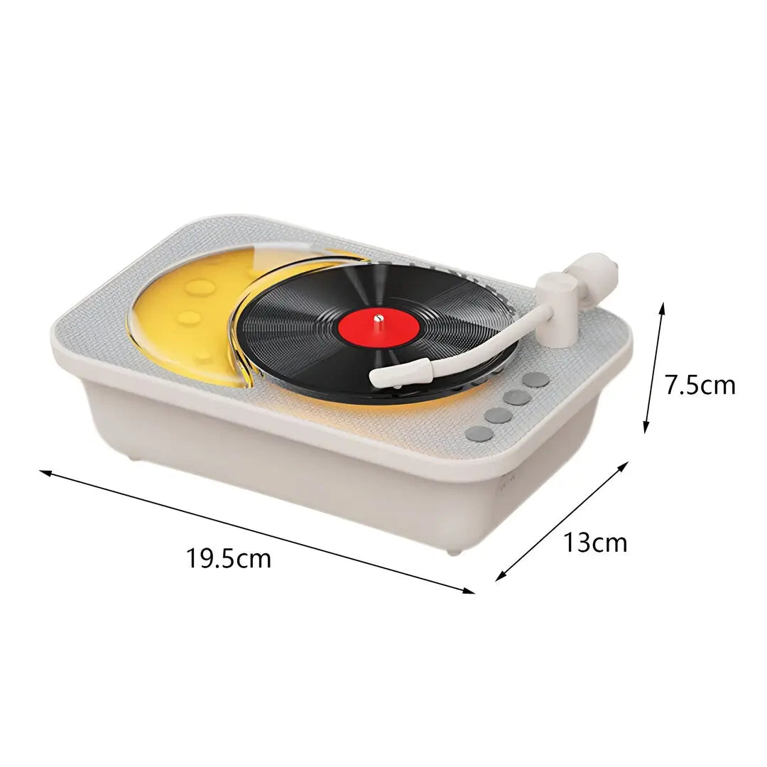 Vinyl record player