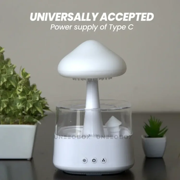 Rain Humidifier