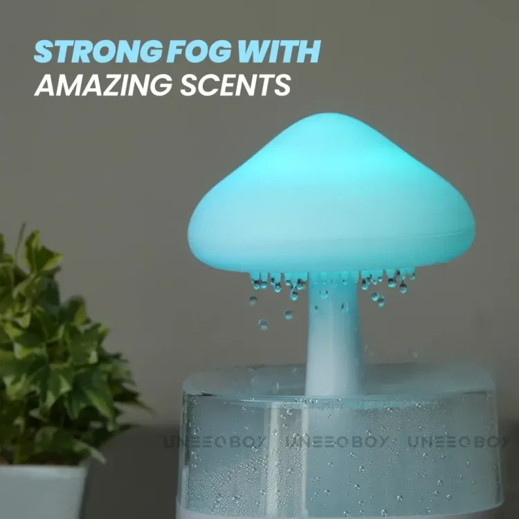 Rain Humidifier