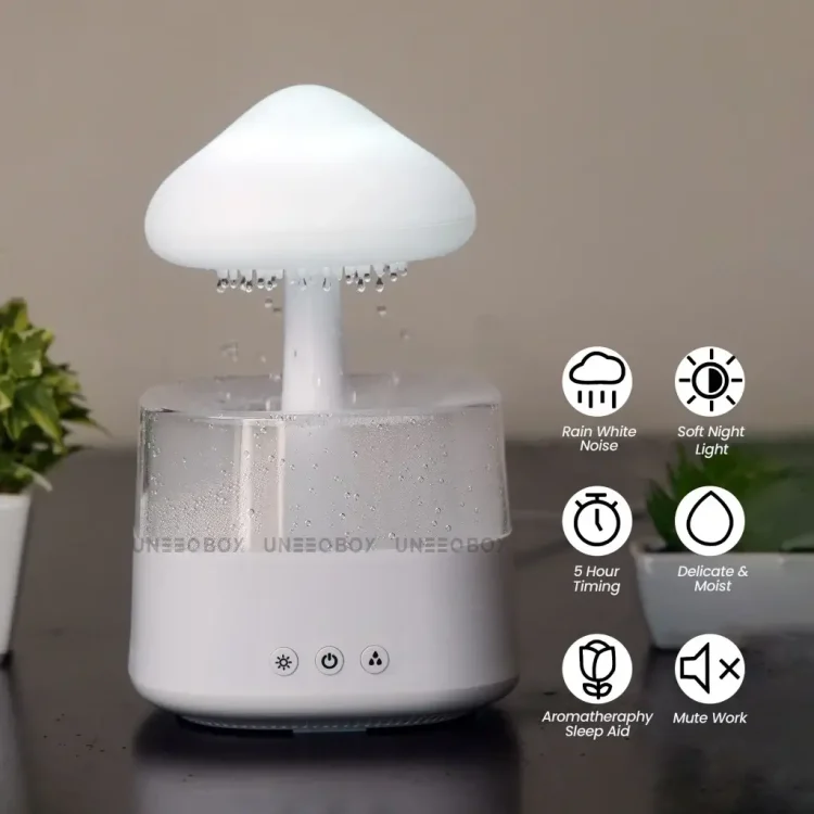 Rain Humidifier